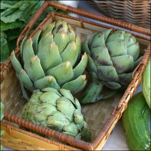 artichoke